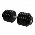 Гантель Профи с вращающейся ручкой, 58,5 кг MB Barbell MB-FdbM-B58,5 120_120